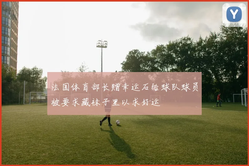 法国体育部长赠幸运石给球队球员被要求藏袜子里以求好运
